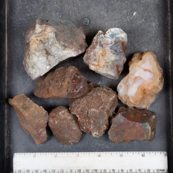 Walker Ranch Agate Rough