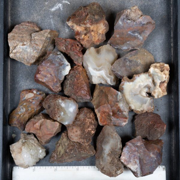 Walker Ranch Agate Rough