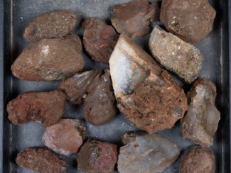 Walker Ranch Agate Rough