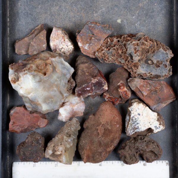 Walker Ranch Agate Rough