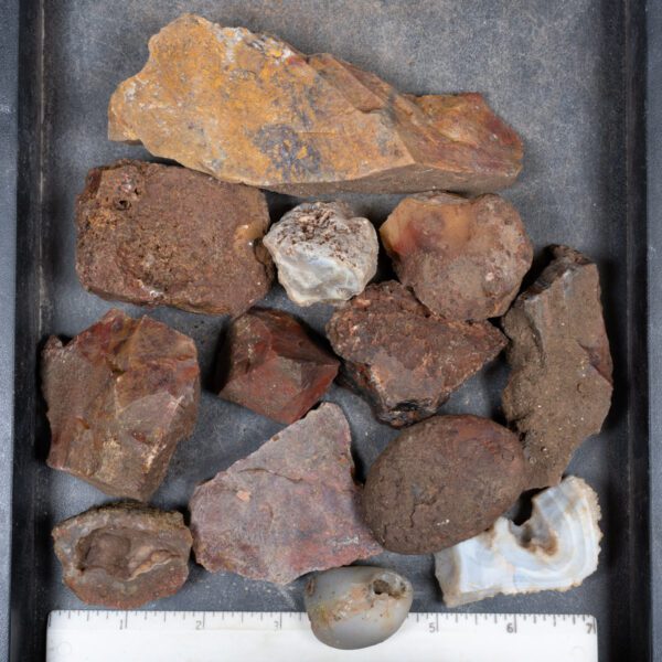 Walker Ranch Agate Rough
