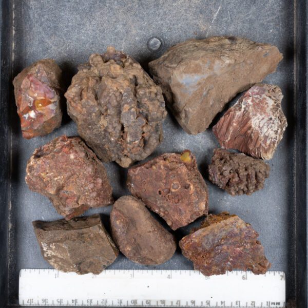 Walker Ranch Agate Rough