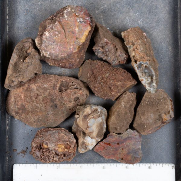 Walker Ranch Agate Rough