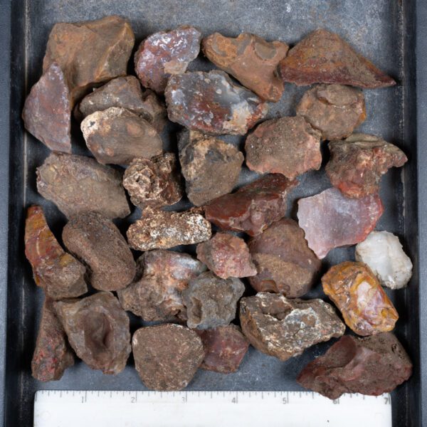 Walker Ranch Agate Rough