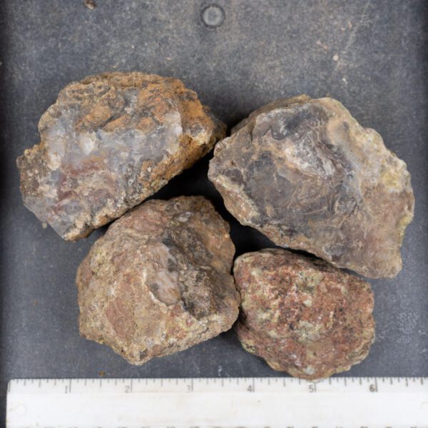Agua Nueva Agate Nodules