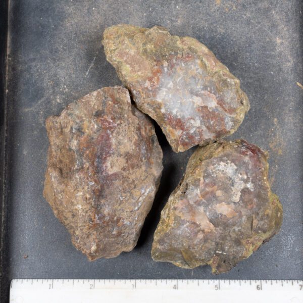 Agua Nueva Agate Nodules