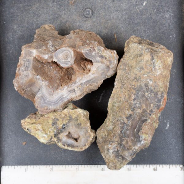 Agua Nueva Agate Nodules