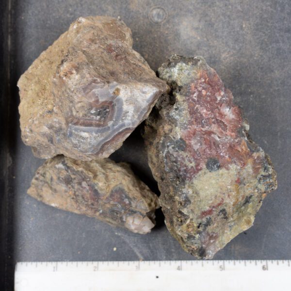 Agua Nueva Agate Nodules