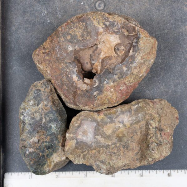 Agua Nueva Agate Nodules