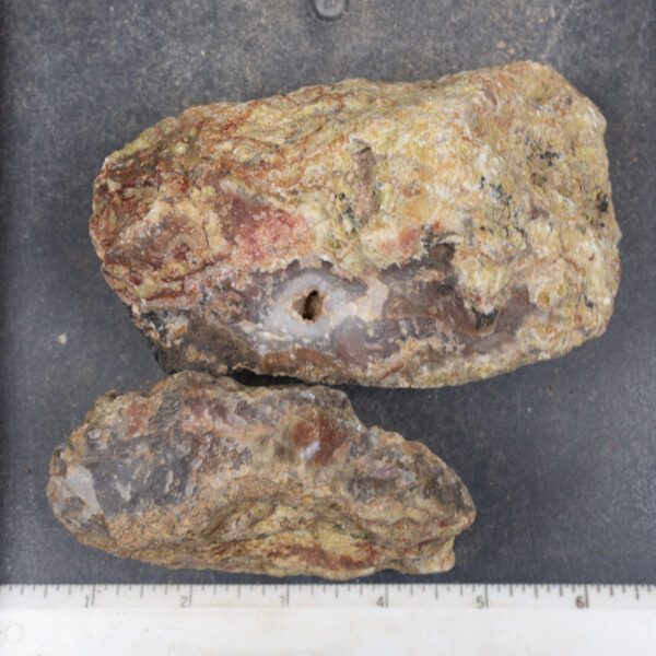 Agua Nueva Agate Nodules