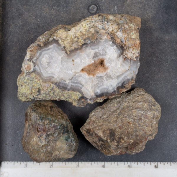 Agua Nueva Agate Nodules