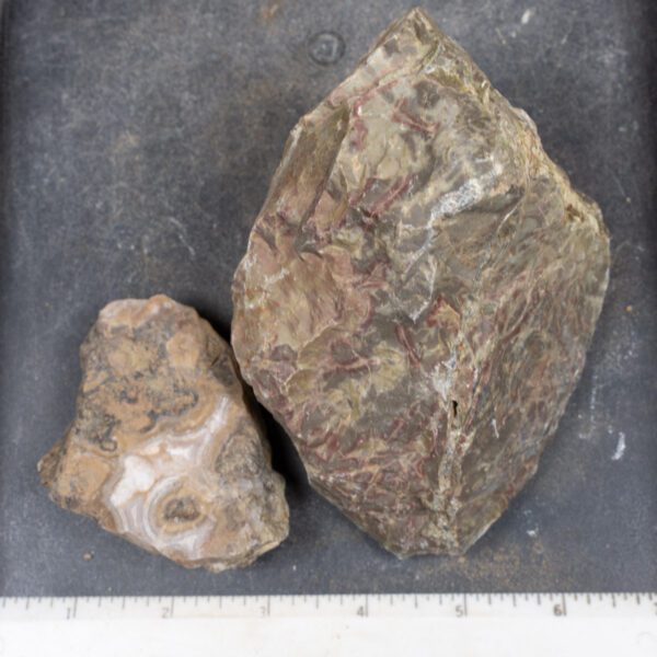 Agua Nueva Agate Nodules