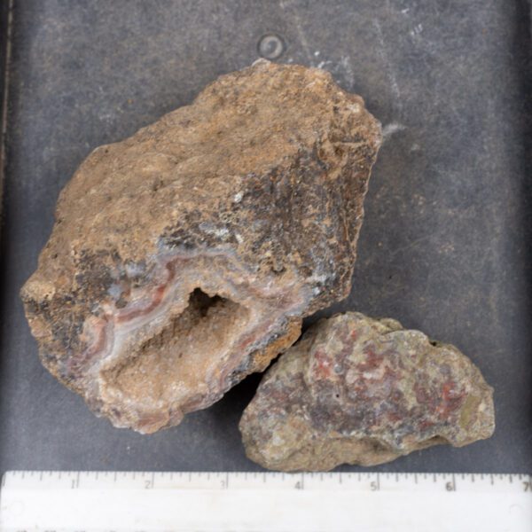 Agua Nueva Agate Nodules