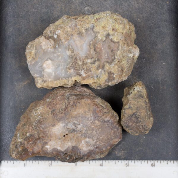 Agua Nueva Agate Nodules