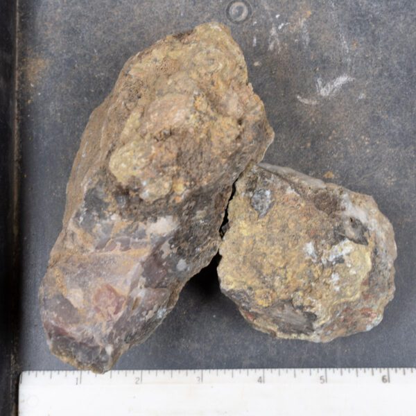 Agua Nueva Agate Nodules