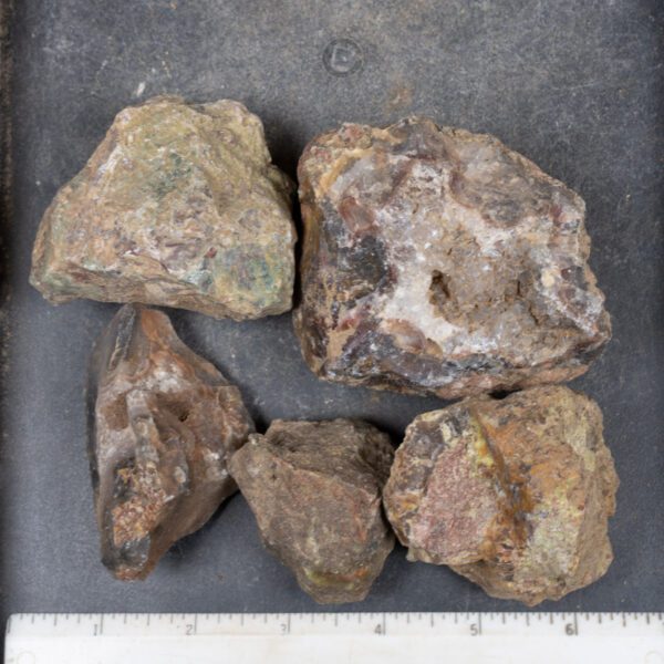 Agua Nueva Agate Nodules