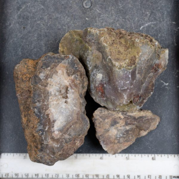 Agua Nueva Agate Nodules