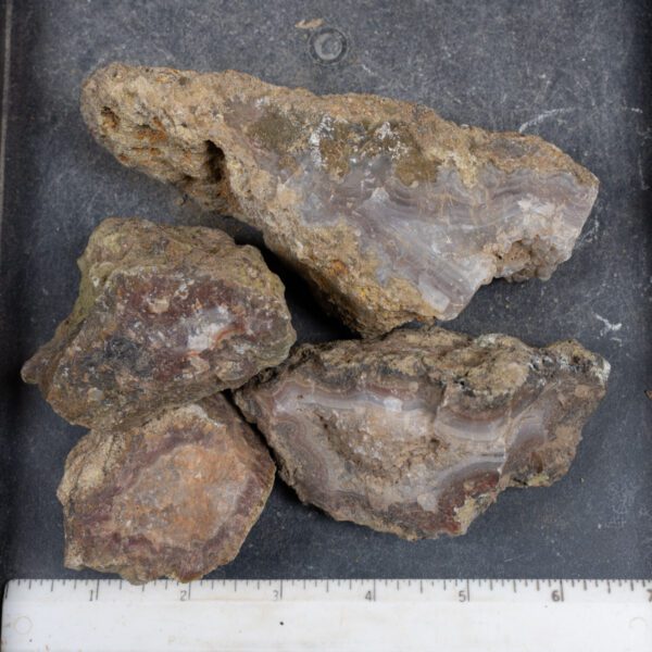 Agua Nueva Agate Nodules