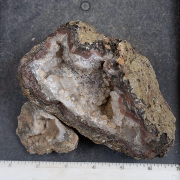 Agua Nueva Agate Nodules