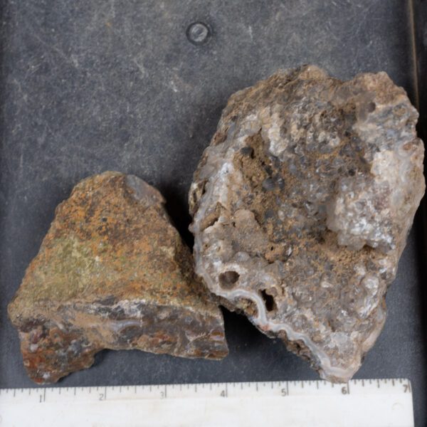 Agua Nueva Agate Nodules