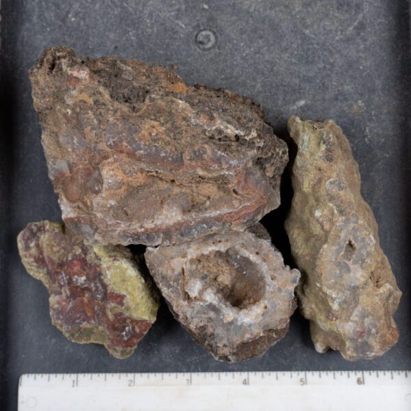 Agua Nueva Agate Nodules