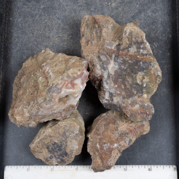 Agua Nueva Agate Nodules