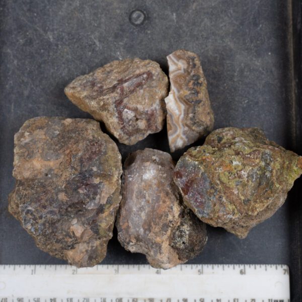 Agua Nueva Agate Nodules