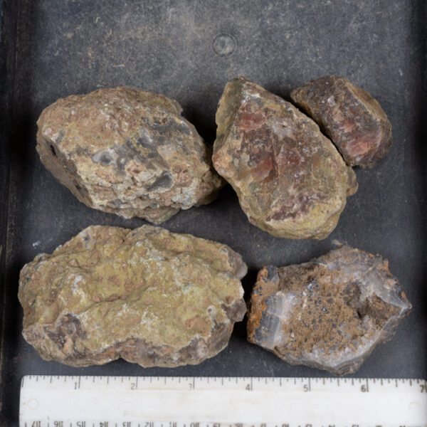 Agua Nueva Agate Nodules