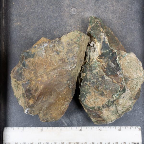 Blue Mountain Jasper Rough