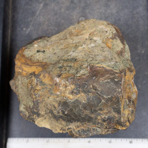 Blue Mountain Jasper Rough