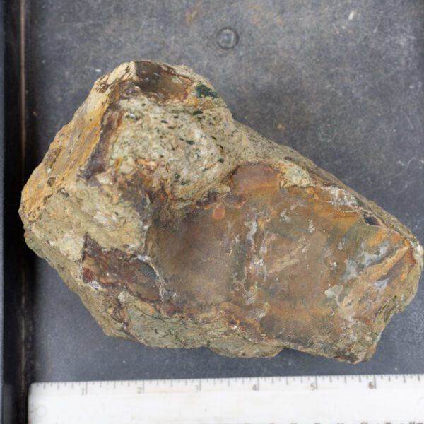 Blue Mountain Jasper Rough