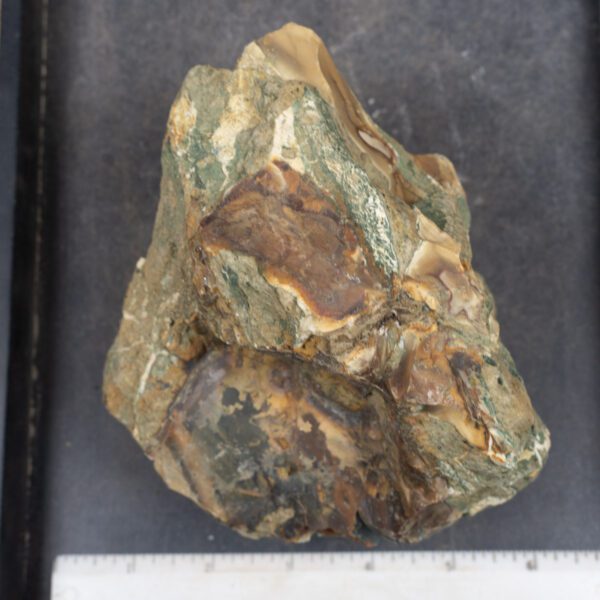 Blue Mountain Jasper Rough