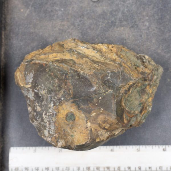 Blue Mountain Jasper Rough