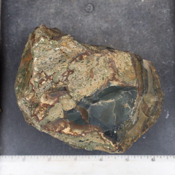 Blue Mountain Jasper Rough