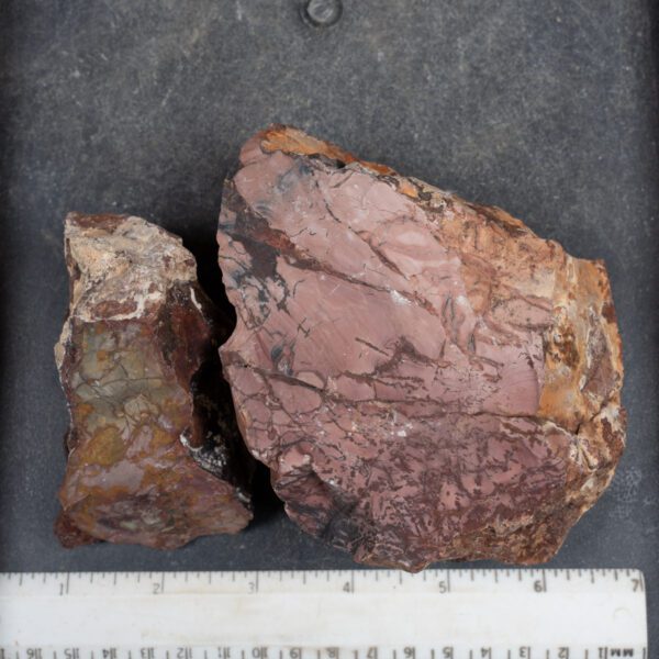 Dead Camel Jasper Rough
