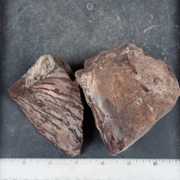Dead Camel Jasper Rough