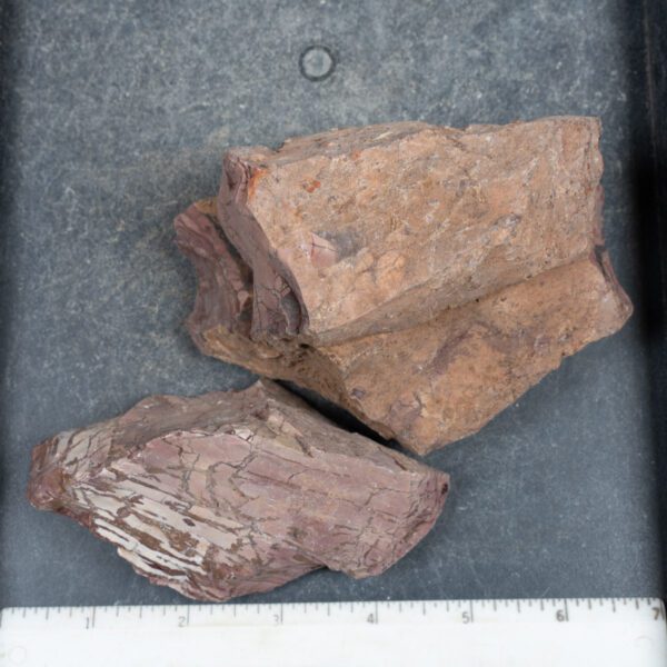 Dead Camel Jasper Rough