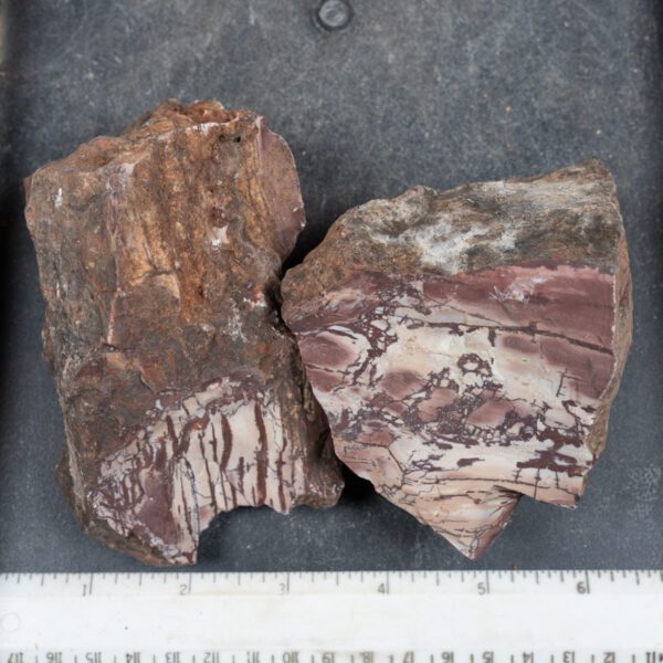 Dead Camel Jasper Rough
