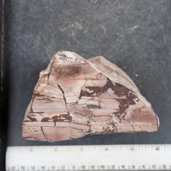 Dead Camel Jasper Rough
