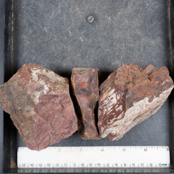 Dead Camel Jasper Rough