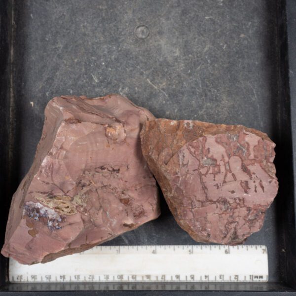 Dead Camel Jasper Rough