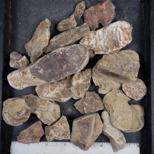 Imperial Jasper Rough
