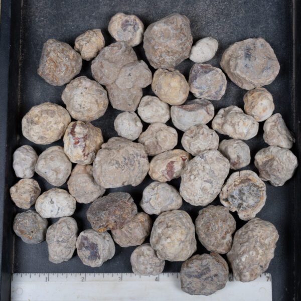 Mexican Red Hot Agate (Berrendo) Nodules