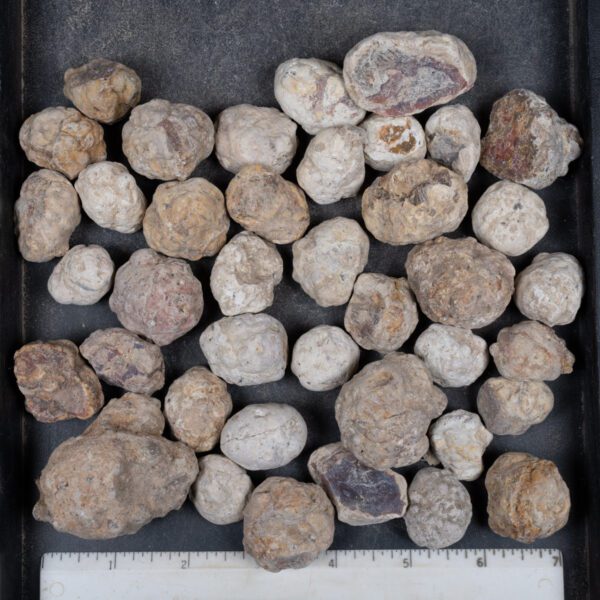 Mexican Red Hot Agate (Berrendo) Nodules