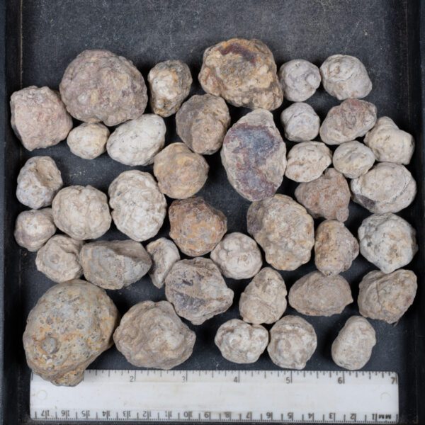 Mexican Red Hot Agate (Berrendo) Nodules