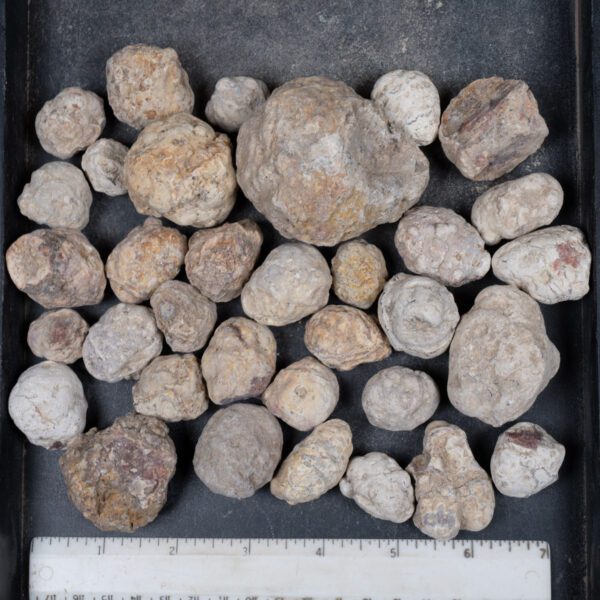 Mexican Red Hot Agate (Berrendo) Nodules