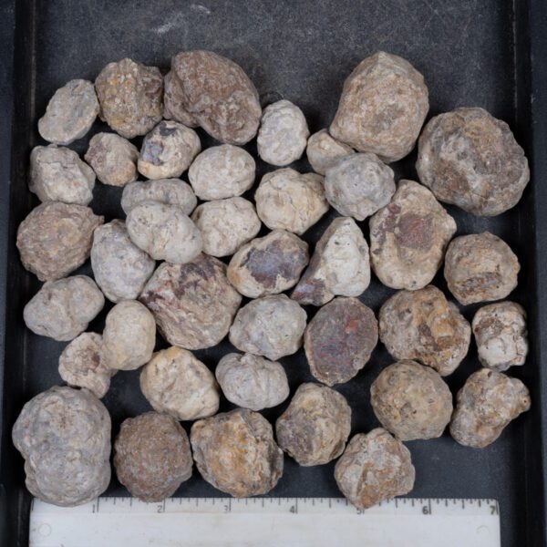 Mexican Red Hot Agate (Berrendo) Nodules