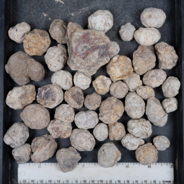 Mexican Red Hot Agate (Berrendo) Nodules