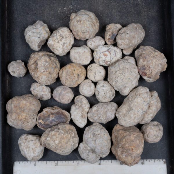 Mexican Red Hot Agate (Berrendo) Nodules
