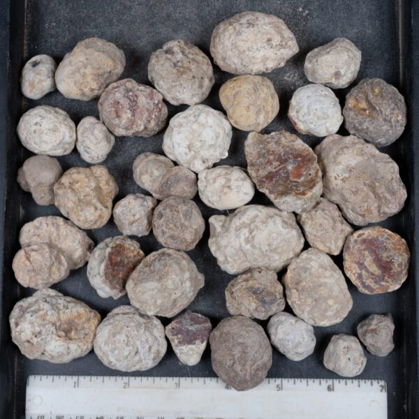 Mexican Red Hot Agate (Berrendo) Nodules